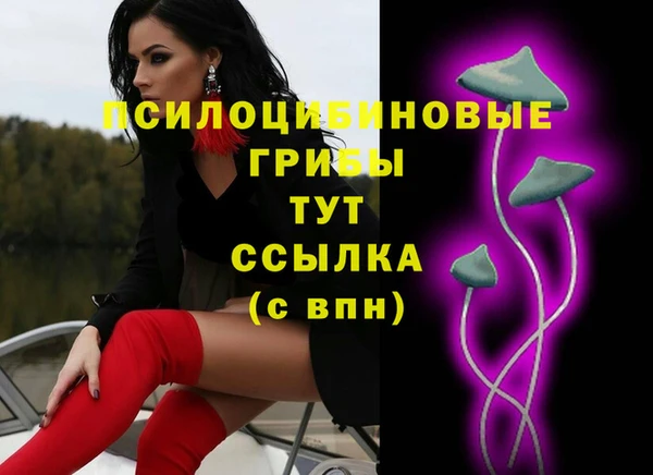 соль ск Сафоново