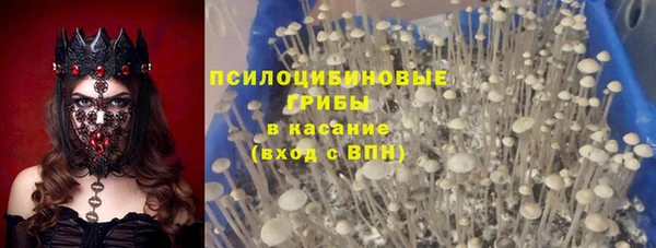 соль ск Сафоново