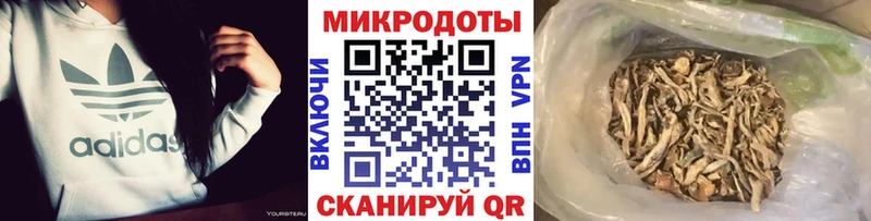Галлюциногенные грибы MAGIC MUSHROOMS  blacksprut как войти  Вилюйск 